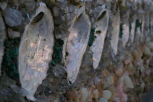 Opal shells in a wall at the Grotto of the Redemption in West Bend, Iowa