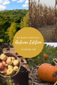 Whether it's a trip to the apple orchard or a hike in the changing leaves, there's lots to love about fall in central Iowa. Discover all of your autumn essentials around the Des Moines metro. #DesMoines #Iowa #ThisIsIowa #autumn