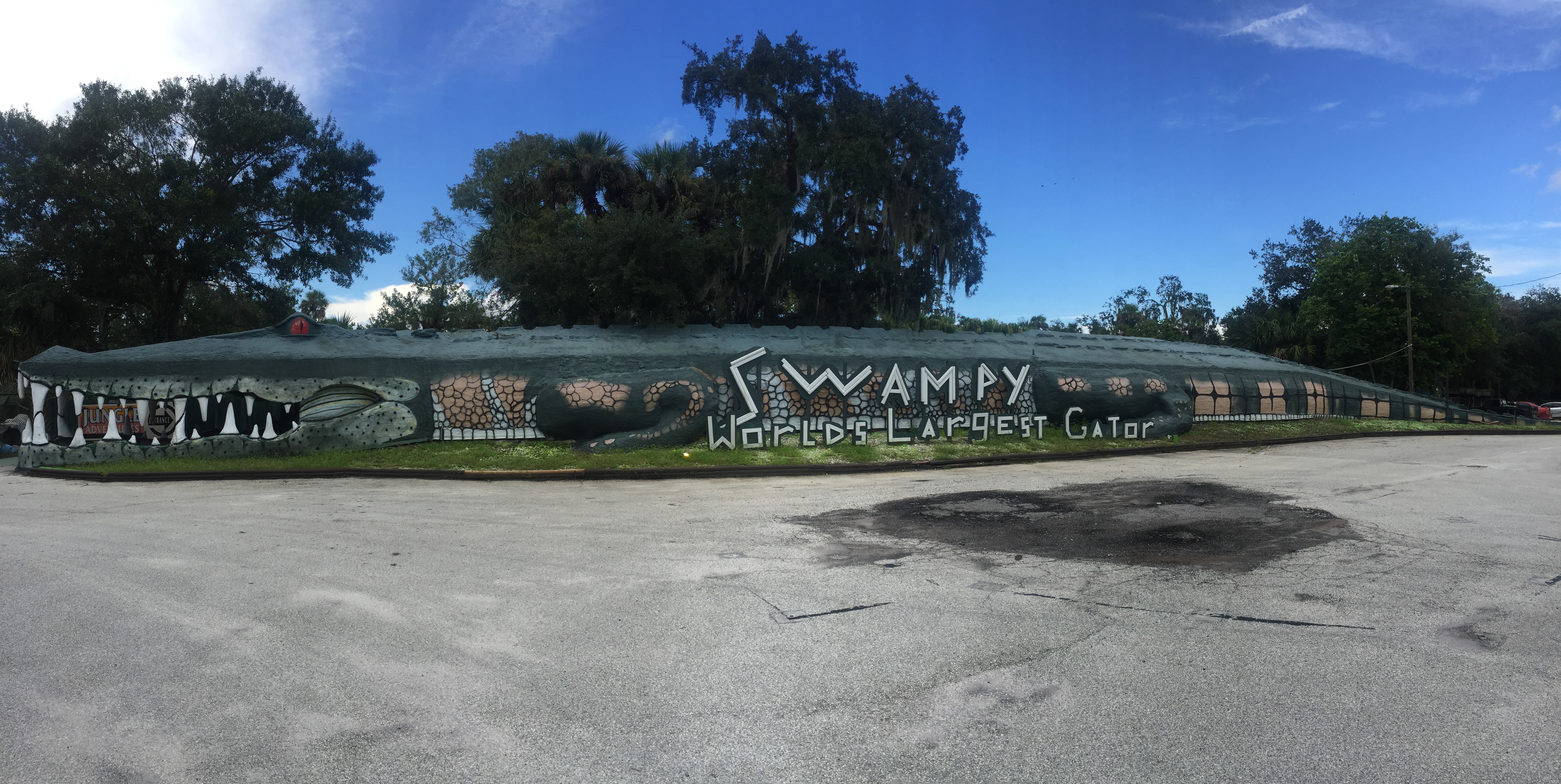 Swampy the World's Largest Alligator in Christmas, Florida