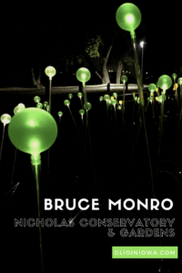Artist Bruce Monro lights up Nicholas Conservatory & Gardens in Rockford, IL this fall!