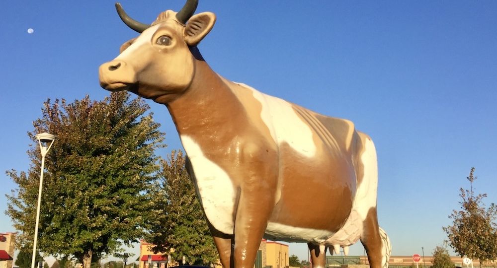 Large cow statue in a parking lot in Janesville, Wisconsin