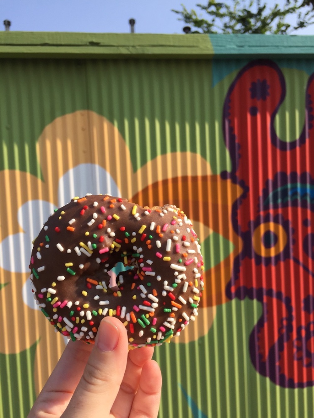 Chocolate frosted donut with rainbow sprinkles in front of rooster mural at The Donut Whole in Wichita, Kansas