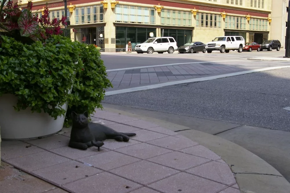 Bronze statue of cat and a bird on a street corner in downtown Wichita, Kansas