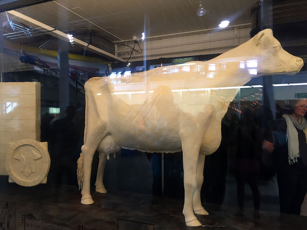 Cow made out of butter behind a glass window at the Iowa State Fair in Des Moines, Iowa