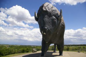 Large brown and black sculpture of a bison named Dakota Thunder, the World's Largest Buffalo, standing on the top of a hill against blue sky in Jamestown, North Dakota