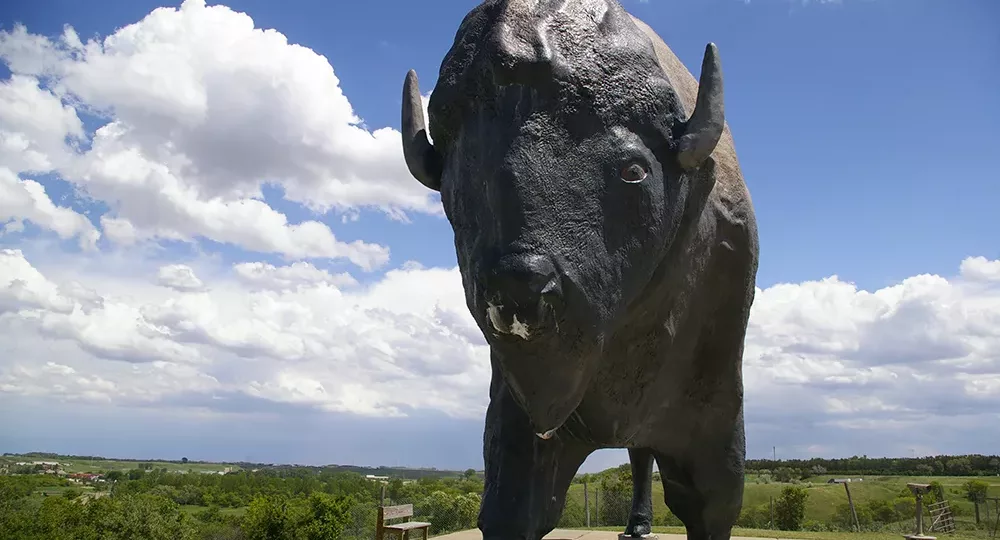 Large brown and black sculpture of a bison named Dakota Thunder, the World's Largest Buffalo, standing on the top of a hill against blue sky in Jamestown, North Dakota