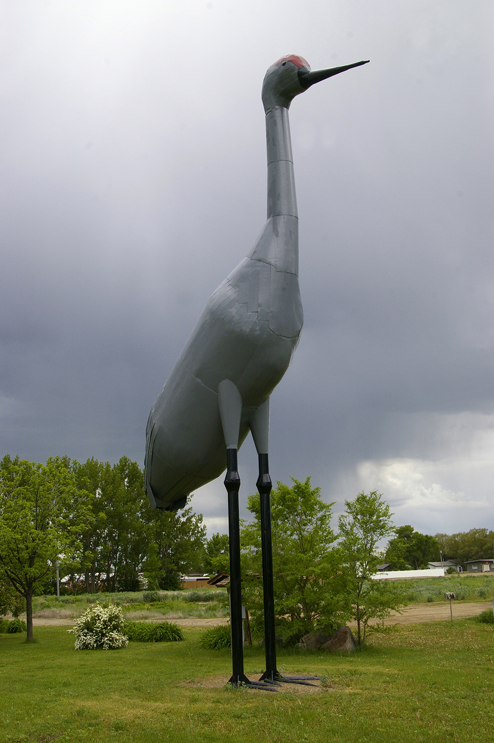Giant gray crane statue with a red head and black legs named Sandy, the world's largest Sandhill Crane, in Steele, North Dakota,