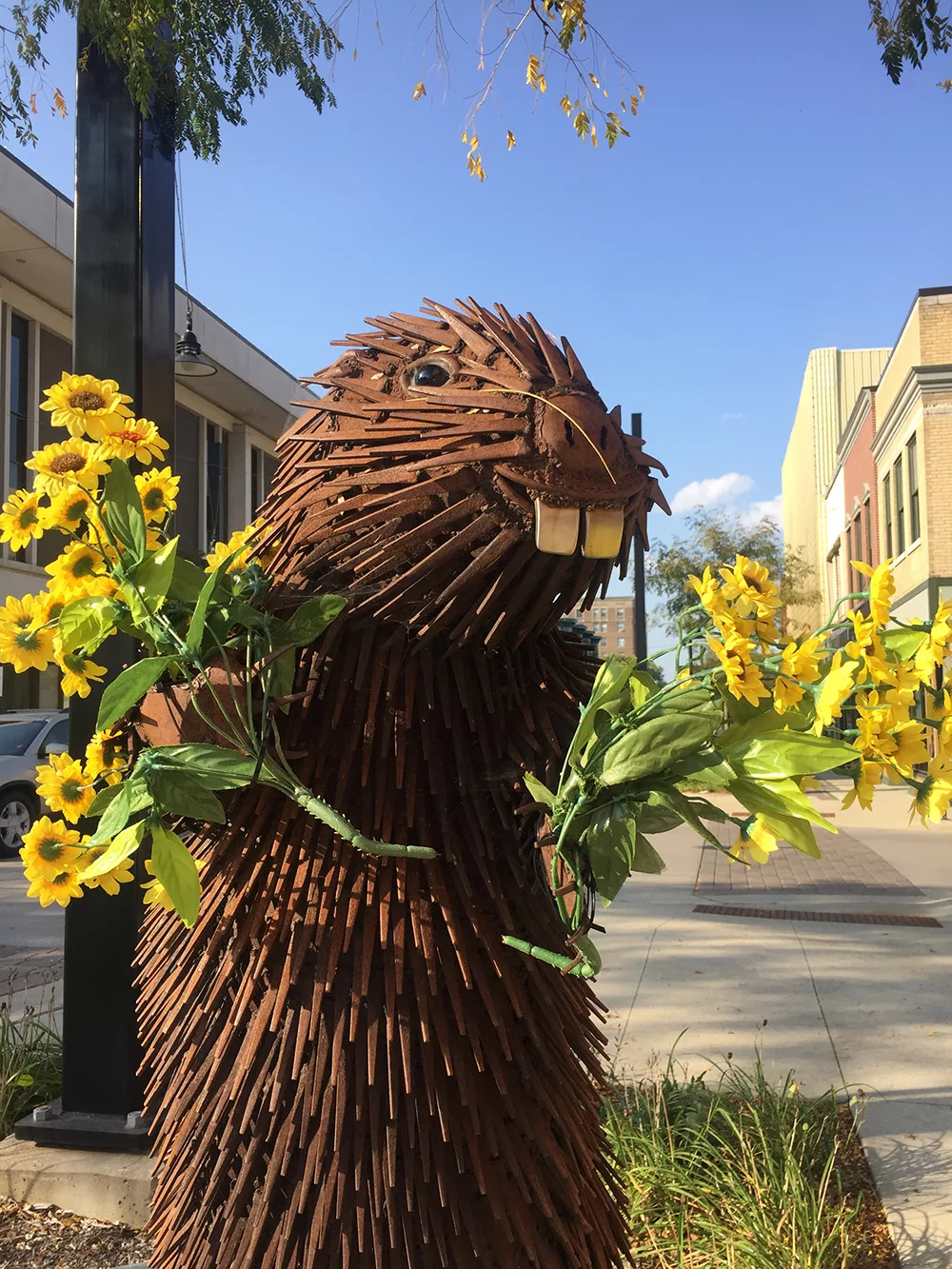 Sculpture of beaver holding bunches of yellow flowers on the River City Sculptures on Parade in Mason City, Iowa