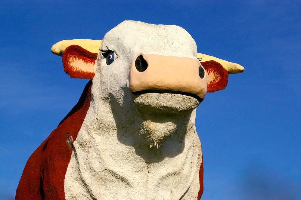 Albert the World's Largest Bull in Audobon, Iowa