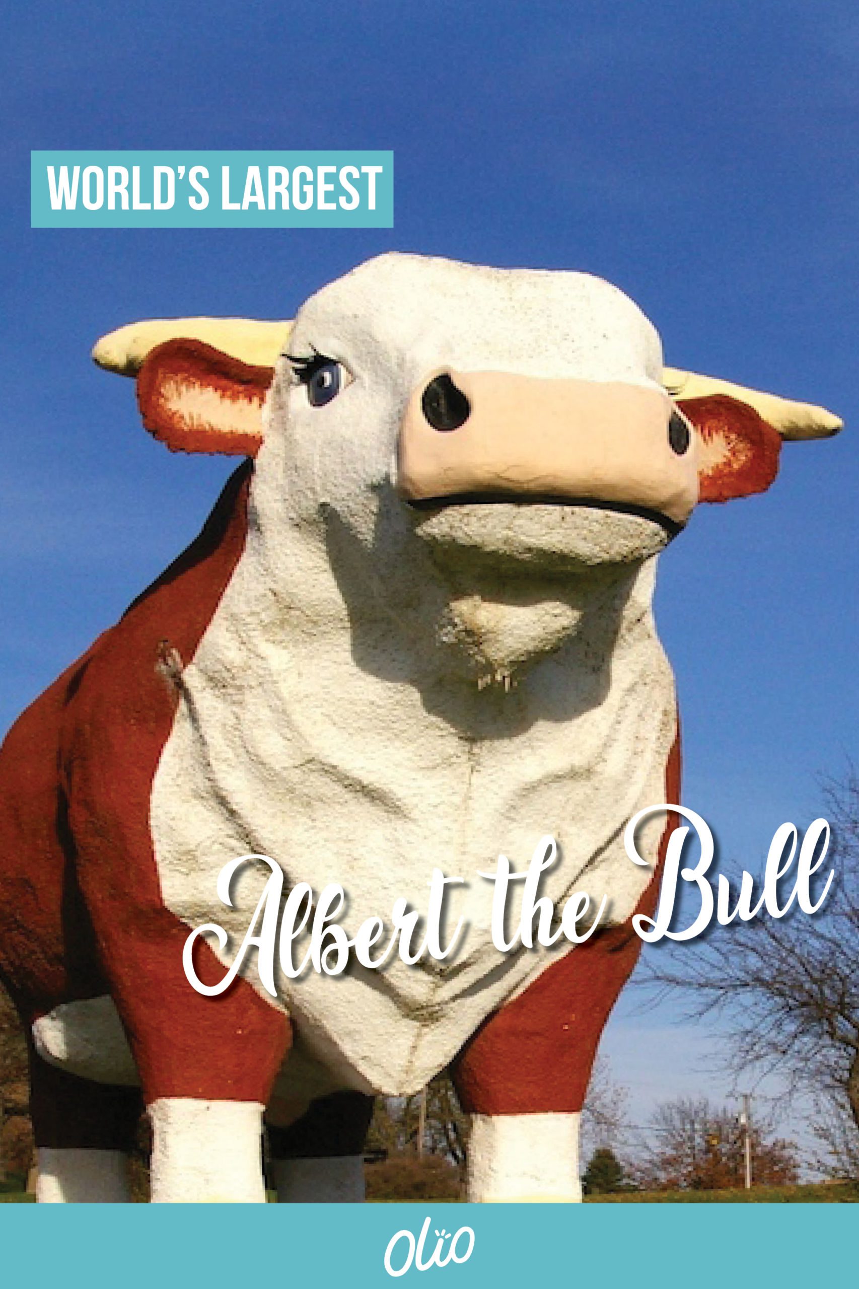 Looking for an offbeat Iowa attraction? Meet Albert the World's Largest Bull! A realistic Hereford replica, Albert calls Audubon, Iowa home. Towering 30 feet over the sprawling Iowa countryside, the concrete bull is a symbol not only of the area’s cattle raising past but also of its hopes for future generations. #Iowa #WorldsLargest #RoadsideAttractions