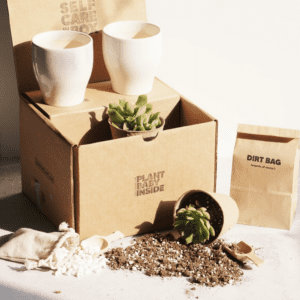 The Nice Plant's Plant it Yourself Box