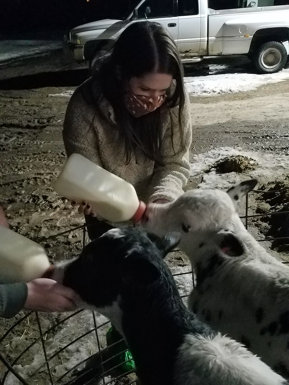 Woman bottle feeding calf at New Day Dairy in Clarksville, Iowa