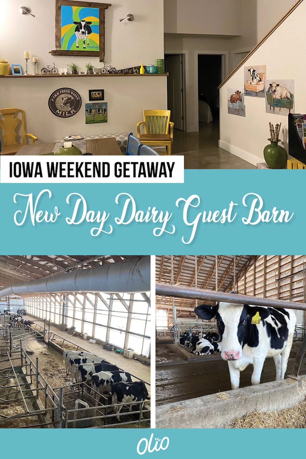 Looking for a unique Iowa weekend getaway? Plan a visit to the New Day Dairy Guest Barn in Clarksville, Iowa! This fun accommodation at a working dairy farm will give you the perfect place to relax while getting a behind-the-scenes look at what it takes to be a dairy farmer. #Iowa #Midwest #travel #MidwestGetaway