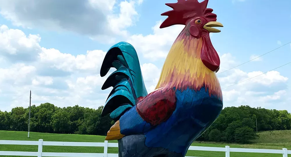 Fiberglass chicken statue named Chick Norris near Gardner, Kansas