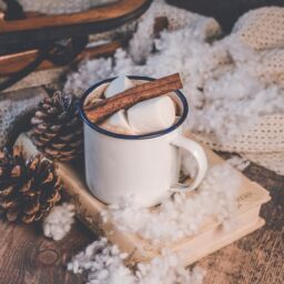 Image of mug of hot cocoa with cinnamon stick on top of book with pinecones, blanket and fake snow