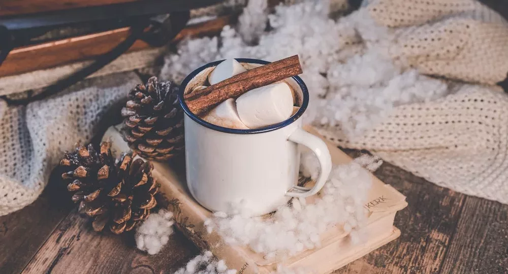 Image of mug of hot cocoa with cinnamon stick on top of book with pinecones, blanket and fake snow