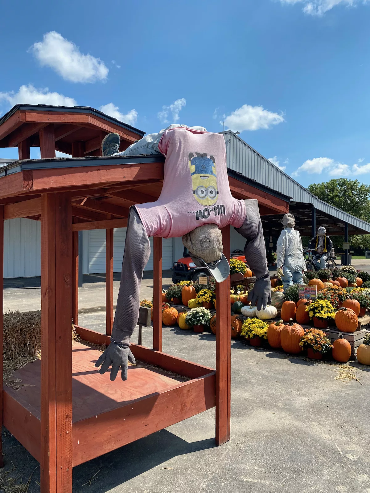 Scarecrow hanging upside down at Skelly's Farm Market in Janesville, Wisconsin
