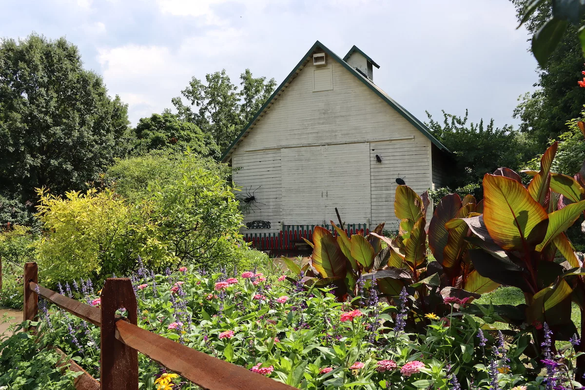 Wildflowers in front of barn at Meadowbrook Park in Urbana, Illinois