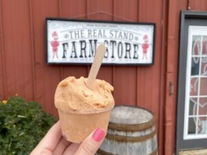 Hand holding cup of gelato at Prairie Fruits Farm & Creamery in Champaign, Illinois