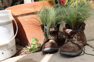 Grass growing from work boots at Quad City Botanical Center in Rock Island, Illinois