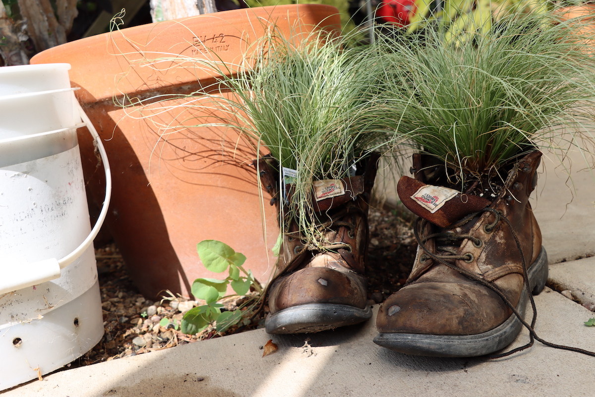 Grass growing from work boots at Quad City Botanical Center in Rock Island, Illinois