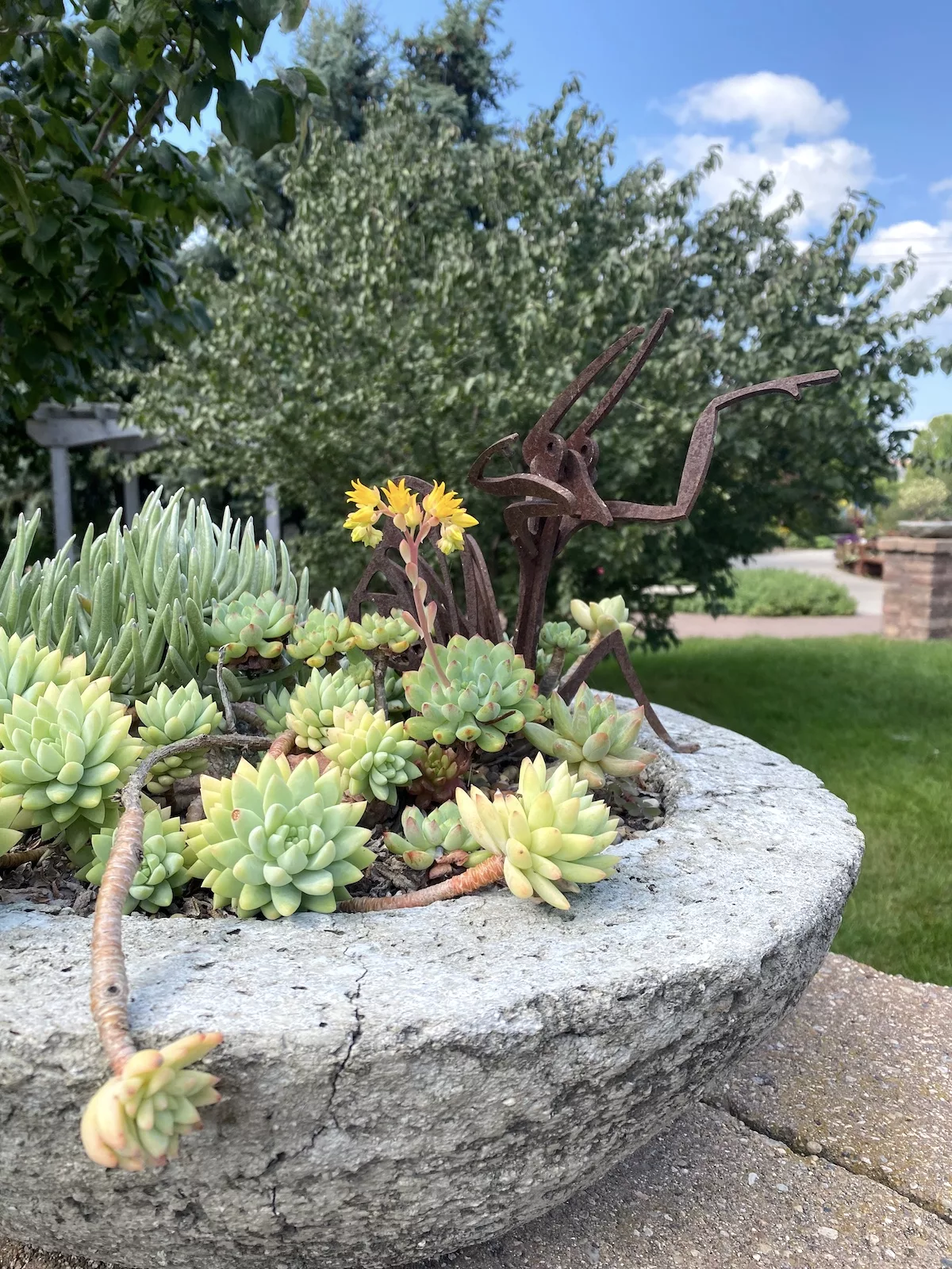 Succulent planter with iron bug sculpture at Quad City Botanical Center in Rock Island, Illinois