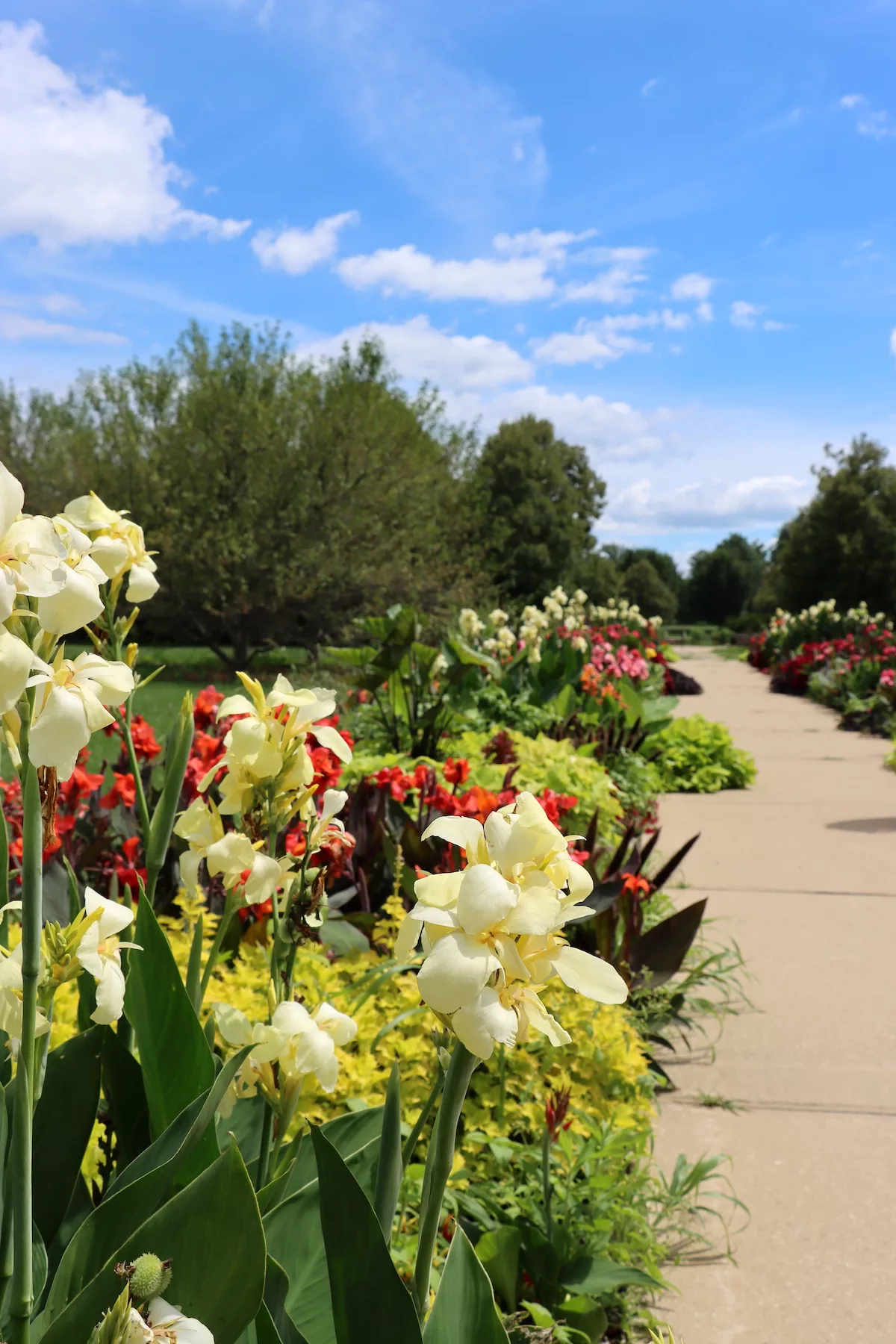 Flowers at the University of Illinois Arboretum in Urbana, Illinois