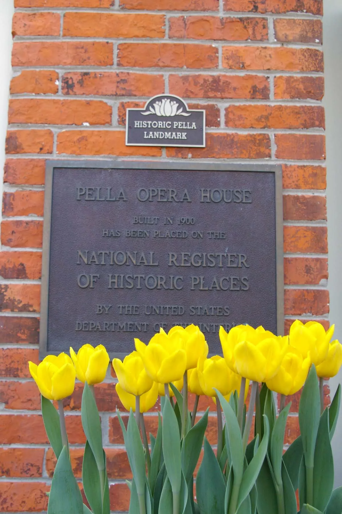 Yellow tulips in front of historic marker at historic courthouse in Pella, Iowa